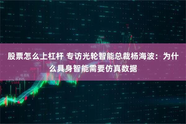 股票怎么上杠杆 专访光轮智能总裁杨海波：为什么具身智能需要仿真数据